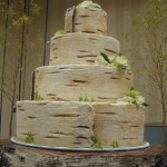 fall 2011 504