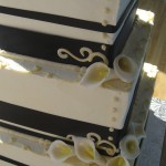 feb 2011 046