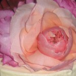 wedding093